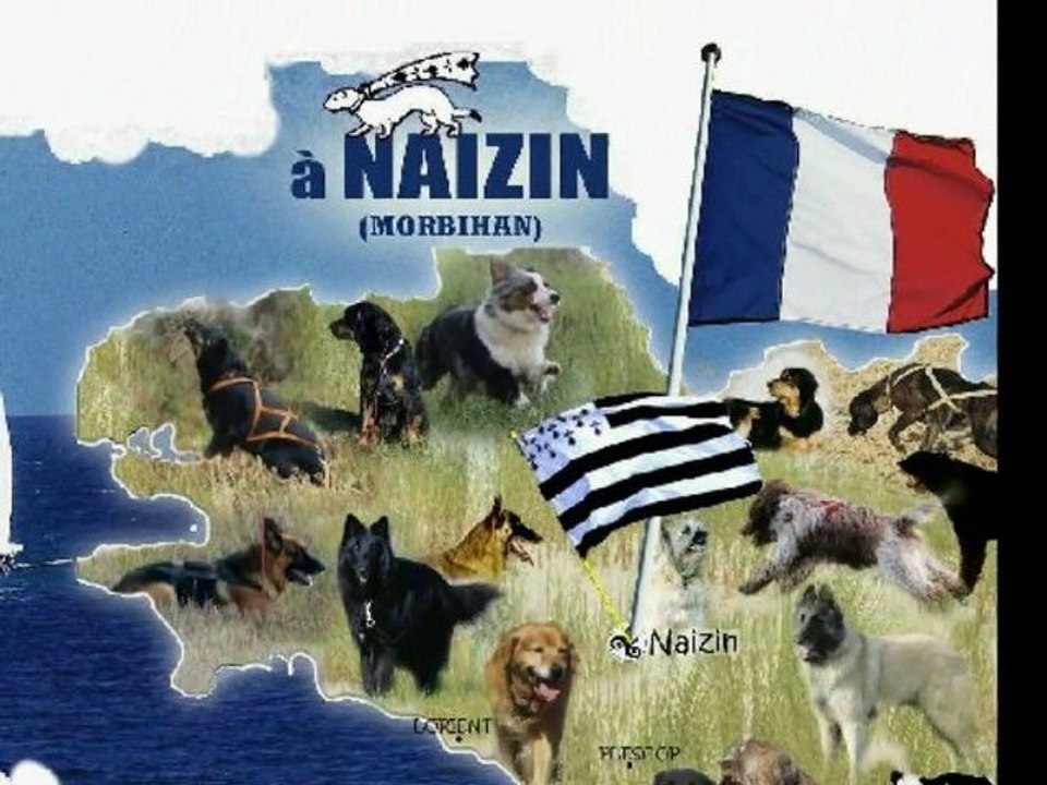 Pistage Français - Championnat France 2011