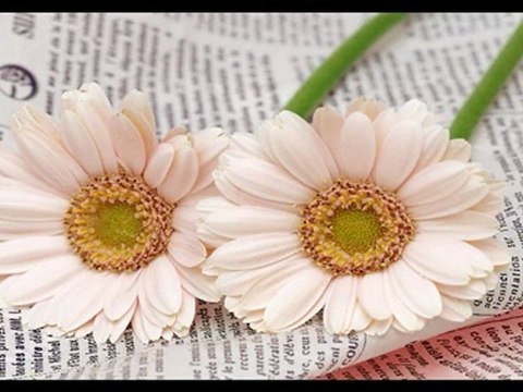 ANLASANA & İLHAN İREM