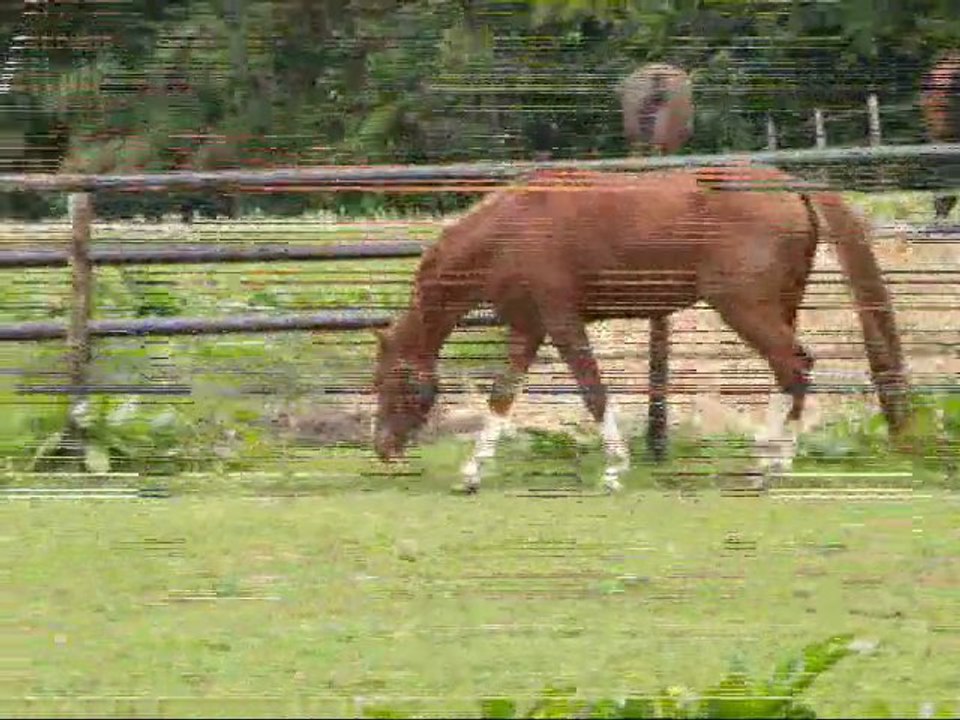 UGANO DE ROC: OGANO SITTE ET RIVAGE DU PONCEL