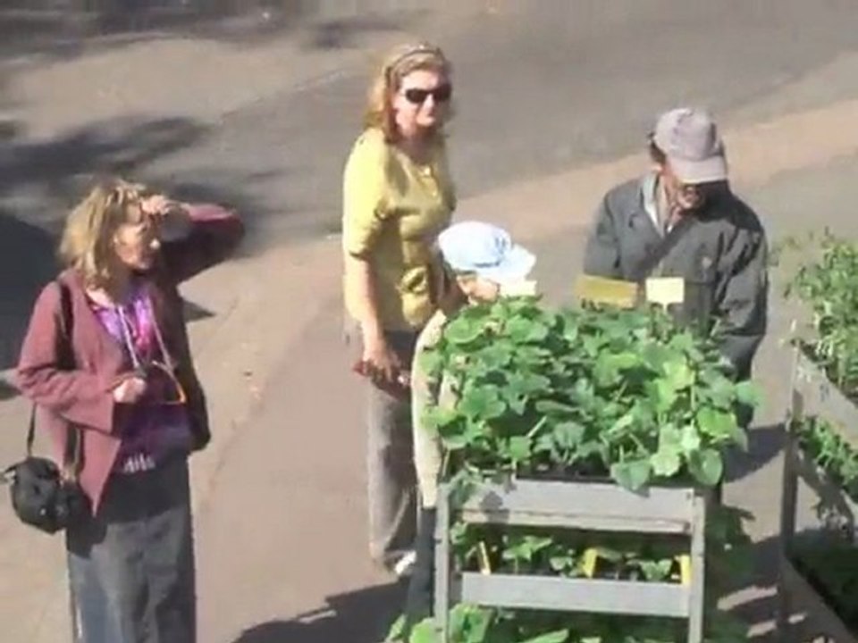 MARCHE BIO 2011