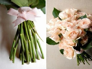 BARIŞ MANÇO ANISINA & GÜLPEMBE