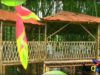 Alquiler de Fincas y Hoteles en el Quindio