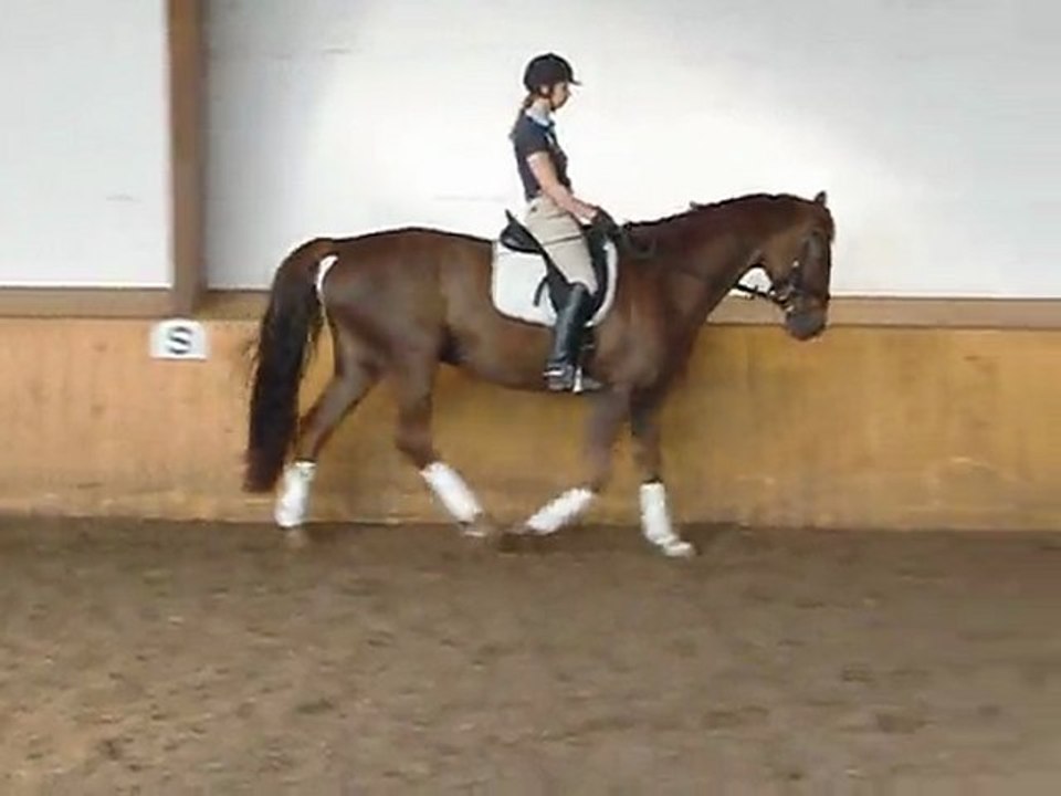 Rosario 6j. W. Schritt