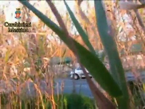 Messina - Corse Clandestine con i cavalli