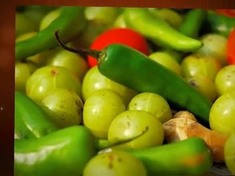 Hydroponics Stores Nova Scotia | Hydroponic Nutrients