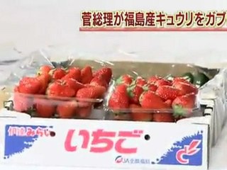 菅総理　キュウリをかじり安全性アピール