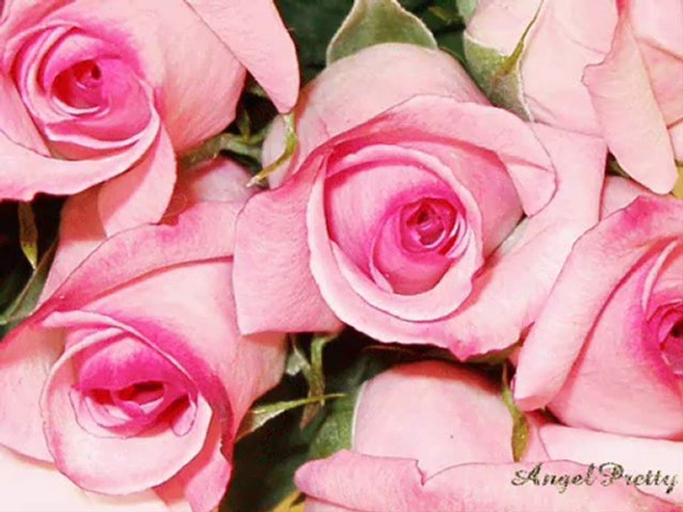 FEVZİ KALENDER BİN GECEYE BEDELDİR