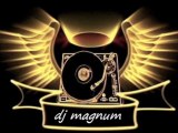 Sean Kingston ft Nicky Minaj - Dutty Love ( DJ Magnum remix )