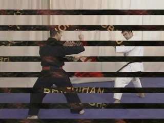 Cours de Jiu Jitsu : le Juko Ryu