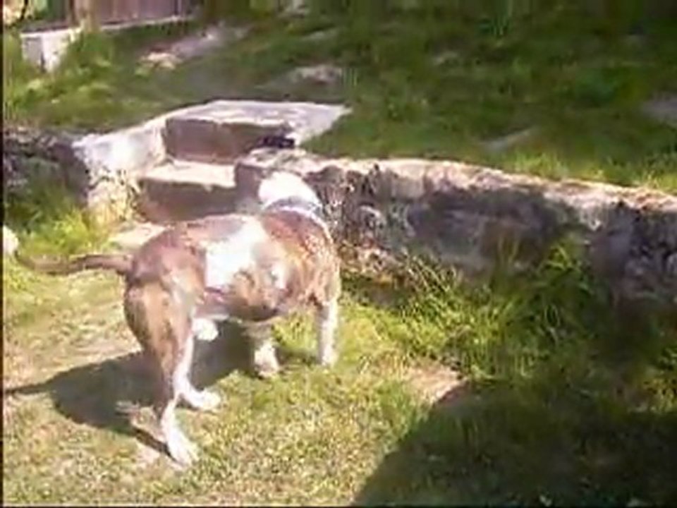 chouchou clicker objet-cible