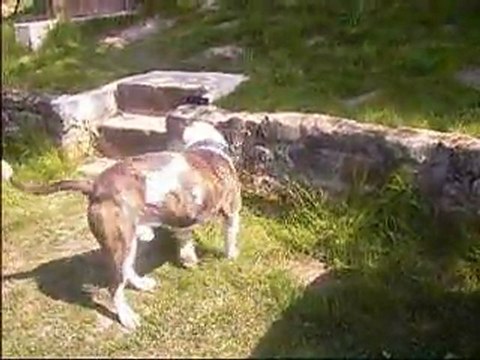 chouchou clicker objet-cible