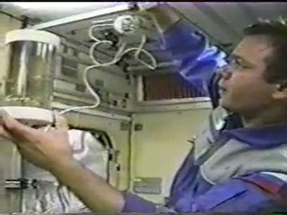 Les crevettes dans la navette spatiale