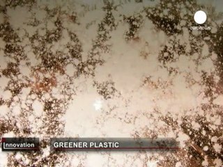 Plastica biodegradabile