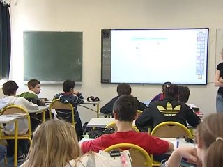 Web - classe d'inclusion au collège Jean-Moulin du Pecq