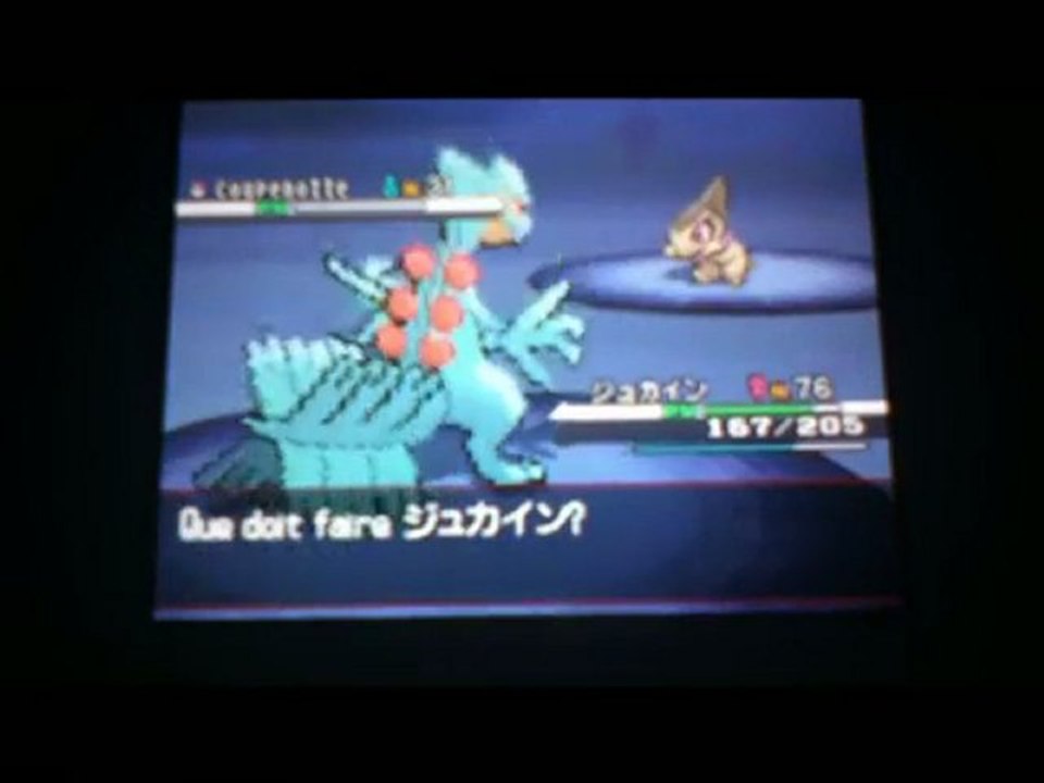 Shiny Axew after 3780th encounters / Coupenotte chromatique