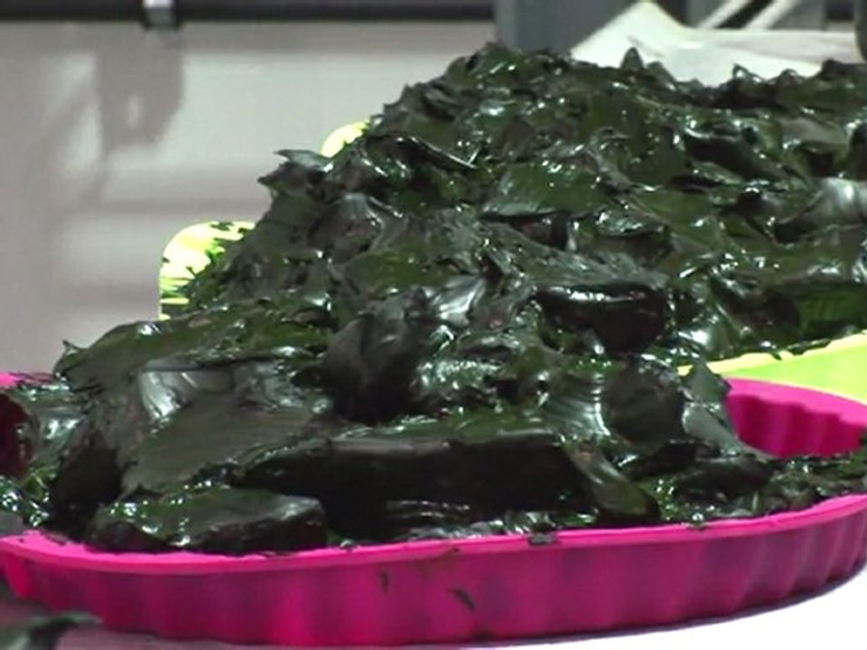 Da alga ao petróleo