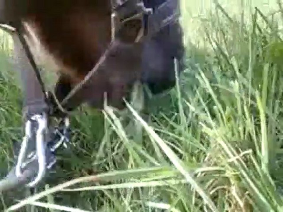 Offrire son regard, Offrire son coeur