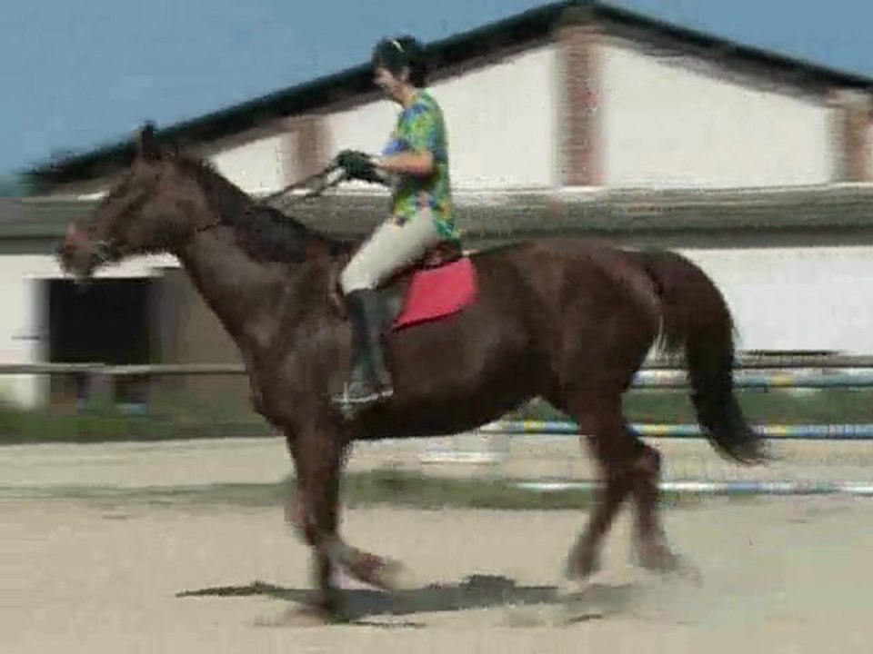 Modifier son galop a volonté..