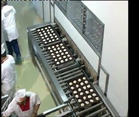 SARMAŞIK MAKİNA - Nihai Fermantasyon Üniteleri/Final Fermentation Units