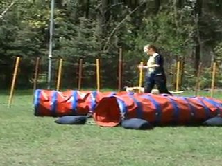 "Zuikelio taurė" - LinaxGuči4