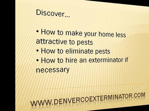 Denver CO Exterminator and Denver CO Pest Control