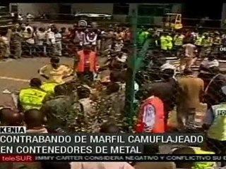 Decomisan más de una tonelada de marfil en Kenia