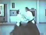 Steven Seagal (Aikido Conclusion)