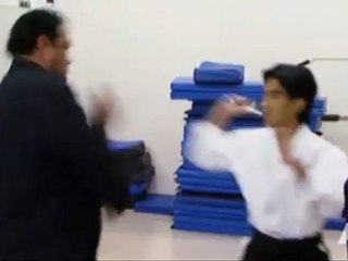 Steven Seagal  (Lawman - Aikido Master)