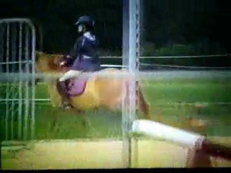 Titan et moi au club