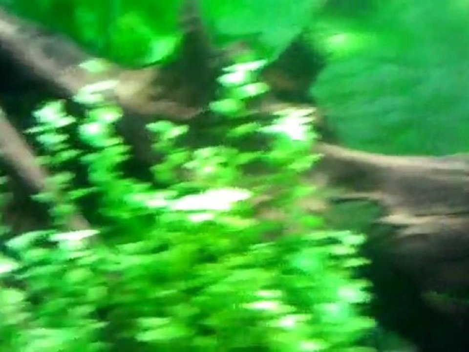 video-2011-05-07-12-16-42