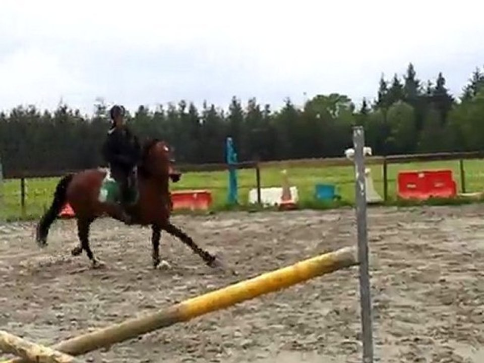 Vidéo0081