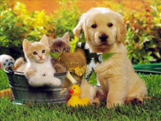 Aşık Erol Coşkunoğlu   Tur Bizim Evde