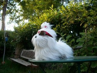 Prologue - Jean-Jacques