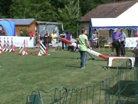 Twix Agility Séléctif GPF 2011