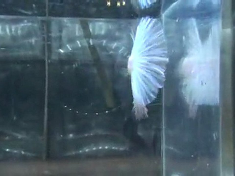 20110505075359