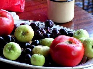 Мой идеальный день