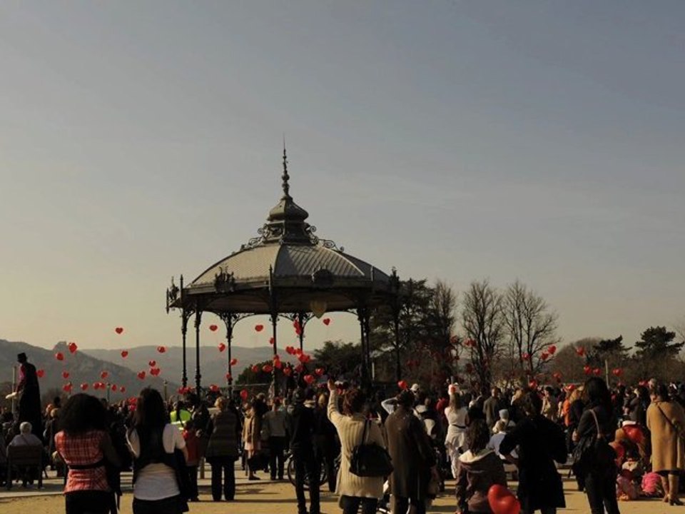Carnaval 2011 Valence
