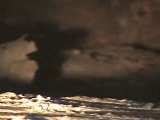 Houston Home Inspector: Faux Chimney