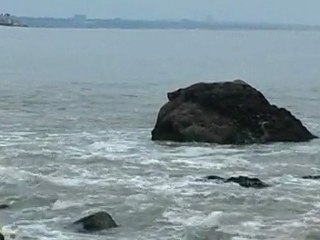 Х.Кардосо "Милонга" (Исполнитель: Зив Бар)