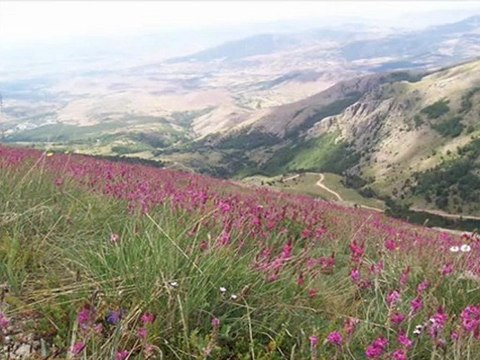 Cemal kaya - Gümüşhanem Sana Yandım