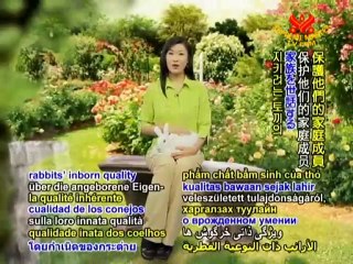 Loving Tales of Rabbits, Our Hopping Heroes