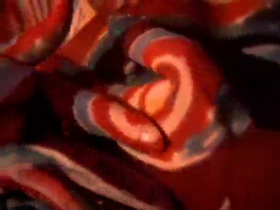 JB Pickers   Freedom Of Expression
