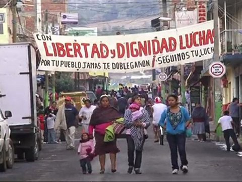 Les cartels mexicains s'attaquent aux forêts