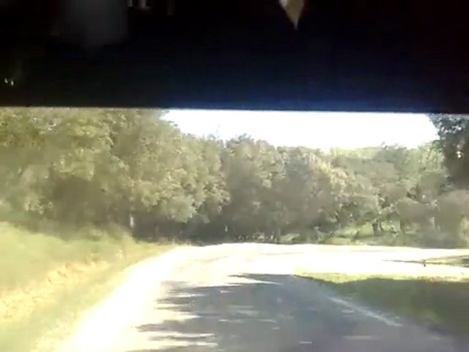 10042011037