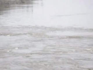 Reversing Falls à St John