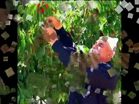 جرين دريم للتسويق العقارى