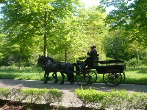 Rétrospective 2007-2008