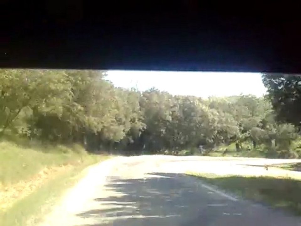 10042011037