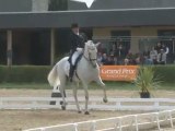 Saumur 2011 CDIO 3* Juan Manuel Münoz Diaz &  Fuego  Grand Prix Freestyle  01 05 2011 Dressage