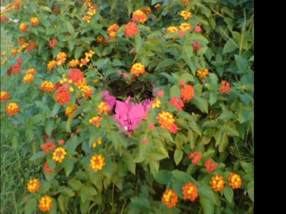 Zeki Müren-Gurbette Ömrüm Geçecek